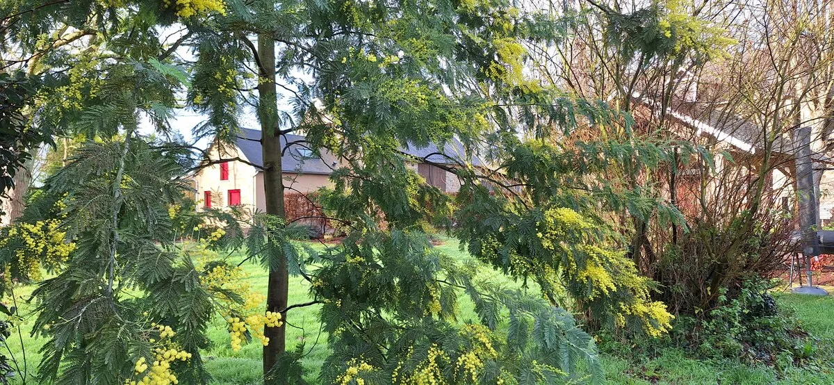 Jardin du gîte de groupe à Bacilly dans la baie du Mont-Saint-Michel